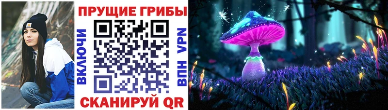 Псилоцибиновые грибы ЛСД Шадринск