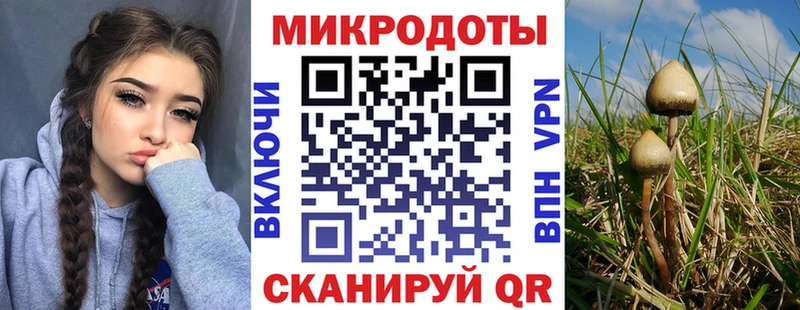 Галлюциногенные грибы мицелий  Шадринск 