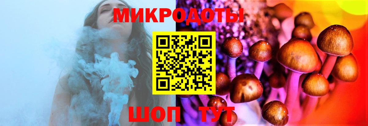 Псилоцибиновые грибы MAGIC MUSHROOMS  Вход с VPN  Шадринск  Псилоцибиновые грибы мухоморы 