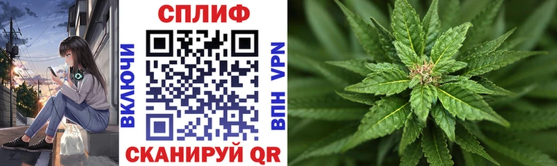 Каннабис марихуана  купить закладку  Шадринск 